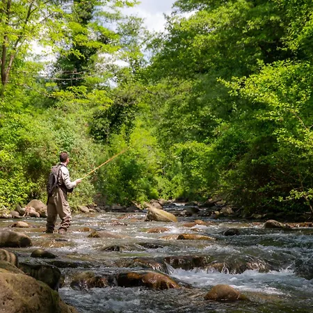 Ristorante La Lanterna